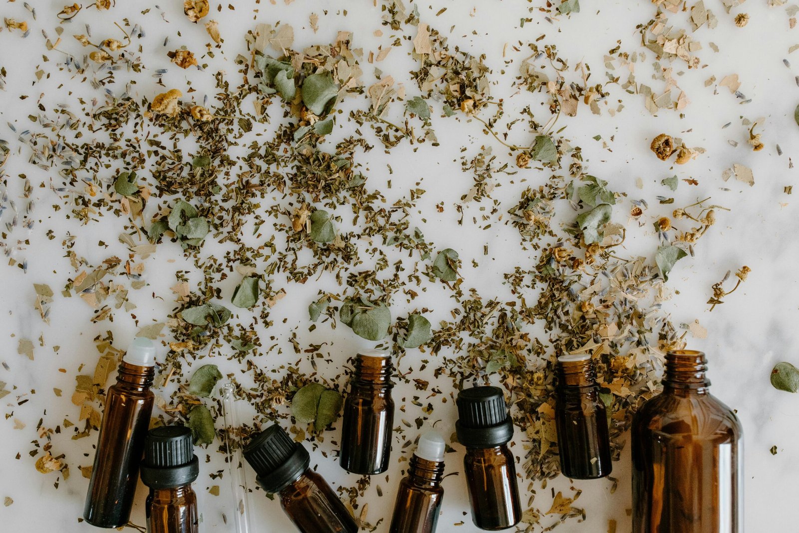 Comprendre la Naturopathie : Définition